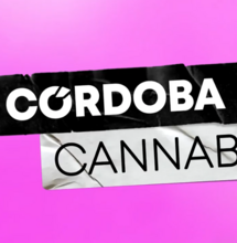 Comienza Córdoba Cannabis 2023: talleres, conferencias, activismo e industria