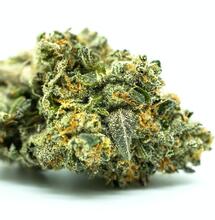 Cómo curar marihuana según Jorge Cervantes