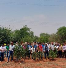 Los cultivadores de cannabis cosechando en Agüerito, San Pedro, Paraguay.