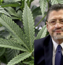 Il Costa Rica vuole legalizzare per fermare il traffico