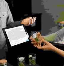 Dispensarios de cannabis en gasolineras de Florida