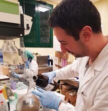 Salvate il “Soldato Entourage” perché la cannabis non è solo THC