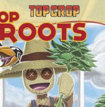 Top Roots, tu enraizante 100% mineral - Product flash. ​