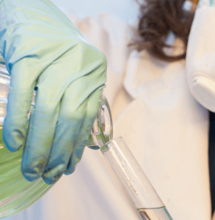 Radiografía al sistema endocannabinoide