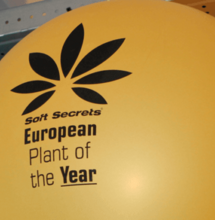 Soft Secrets’ Plant of the Year 2018