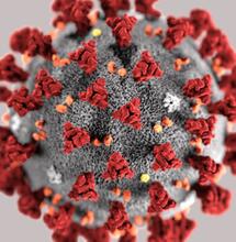 COVID-19 ET CANNABIS