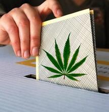 Cannabis: le opinioni dei partiti impegnati nella campagna elettorale