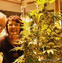 “DAGGA COUPLE” DEATH