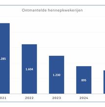 Daling ontmantelde wietkwekerijen zet door