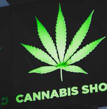 Foto Damian Barczak Unspalsh