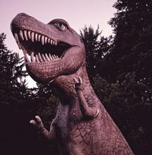 ¿Por qué consumir cannabis da hambre?