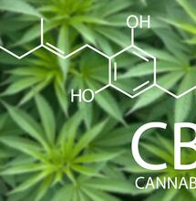 CBG Das Mutter-Cannabinoid
