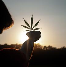 Legalizzazione: convegno all'ARS con Meglio Legale