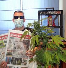 Cannabis im arbeitsleben