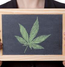 Debunking cannabis 2020