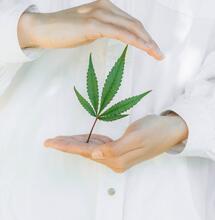 Delta-8-THC, what's it all about?