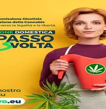 Depenalizzazione e coltivazione di cannabis: un passo alla Svolta