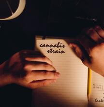 Escribe un diario íntimo sobre tu marihuana