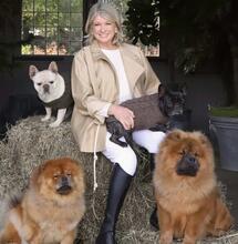 Martha Stewart