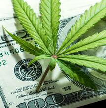 Diese US-Bundestaaten haben Cannabis legalisiert