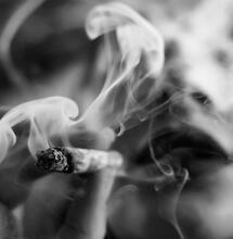 420: storia della celebrazione simbolo della cannabis