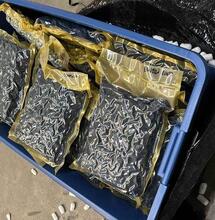 Douane trots: Er is 150 kilo cannabis vernietigd