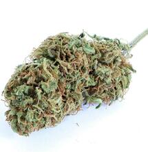 The Importance of Drying and Curing