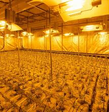 Dutch Company Under High Pressure for Odor Complaints