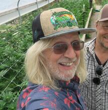 Economic Importance of Cannabis