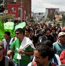 El país donde el DMT cuelga de los árboles