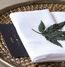 Duurzaam, trendy en veelzijdig - De cannabisconsumenten onder de loep