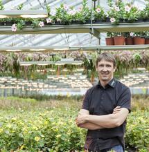 Eine technische Klassifikation betreffs Beleuchtung