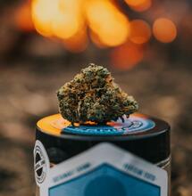 ¿Cómo se eligen los nombres de las variedades de cannabis?