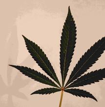 Magical Molasses: Part I