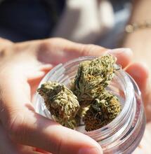 Come conservare correttamente la cannabis