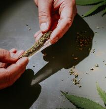El CBD también revoluciona el cannabis lúdico