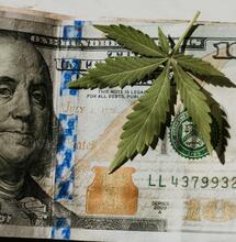 Predicciones del mercado del cannabis para 2024