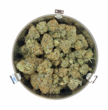 The Entourage Effect