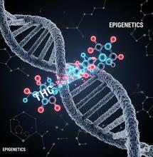 Ilustración científica de la molécula de THC interactuando con una cadena de ADN, representando la epigenética del cannabis