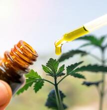 Cannabis en epilepsie