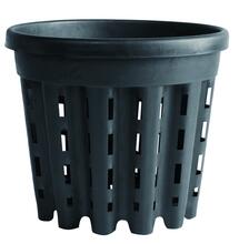 Ercole pot
