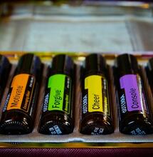 A Beginners Guide To Terpenes.