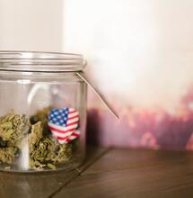 EE. UU. otorga validez federal al cannabis medicinal 