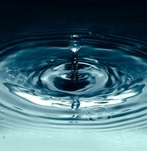 Estrés hídrico controlado: la ciencia para aumentar el THC y los terpenos