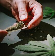 cannabis most used drug in Europe