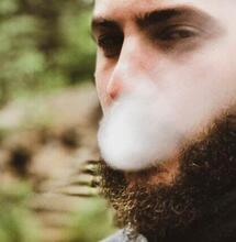 Tout ce que vous devez savoir sur l'odeur de la marijuana