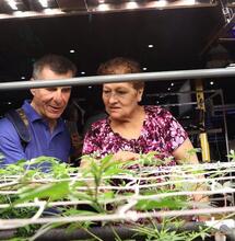 Expo Cannabis Argentina 2026: resistencia cannábica