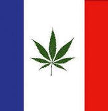 ‘Power couple of pot’ Chris Conrad en Mikki Norris