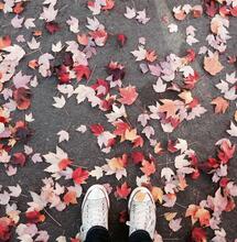 Tareas de noviembre