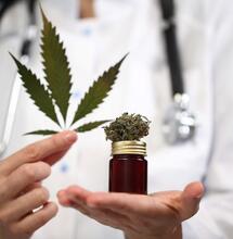 Avviso Fornitura Cannabis, Ternelli: "Troppo tardi"